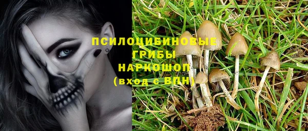 молекула духа Магадан