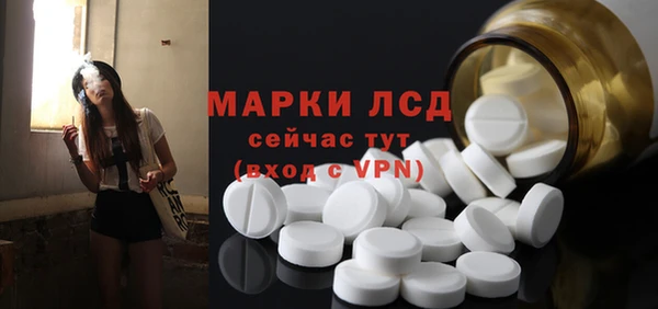 молекула духа Магадан