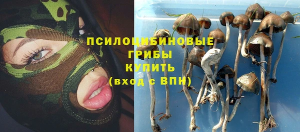 каннабис Майский