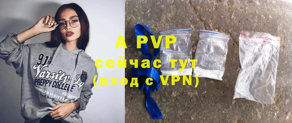 молекула духа Магадан