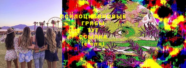 молекула духа Магадан