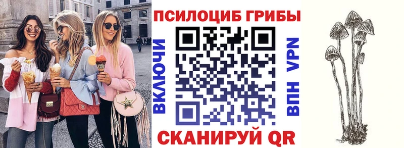 даркнет сайт  Чаплыгин  Галлюциногенные грибы GOLDEN TEACHER 